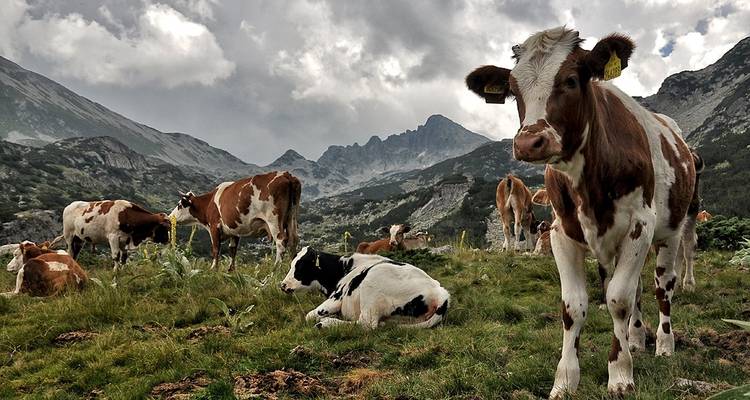 Trek montagne Rila- Pirin - Bulgarie, départs garantis - Penguin Travel 4