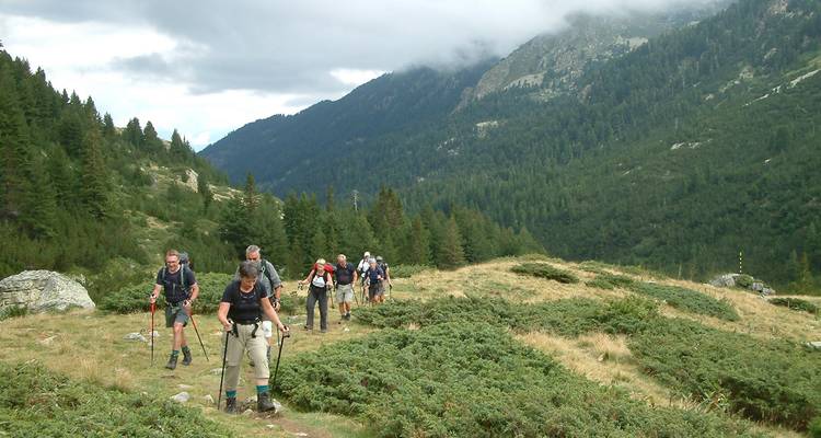 Groupe de randonneurs marchant à travers une région montagneuse.