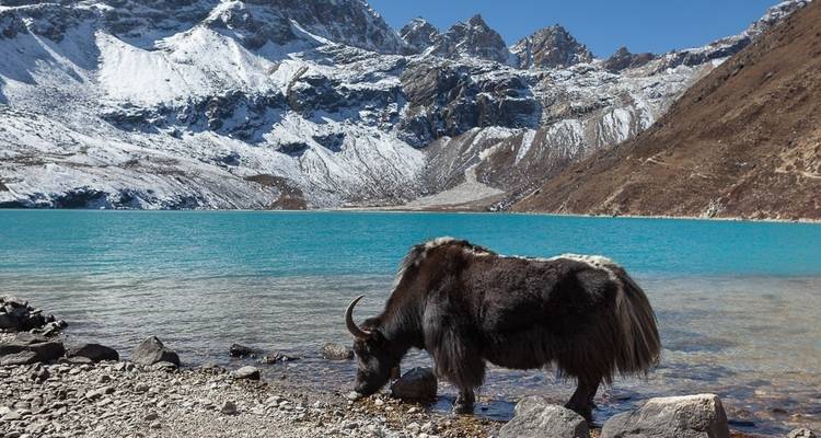 Everest Base Camp With Gokyo Lake Trek - Peregrine Treks and Expedition Pvt Ltd 7