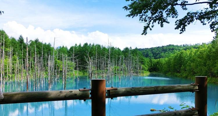 Hokkaido verano Tranquilo 8 días - Supera Tours 1