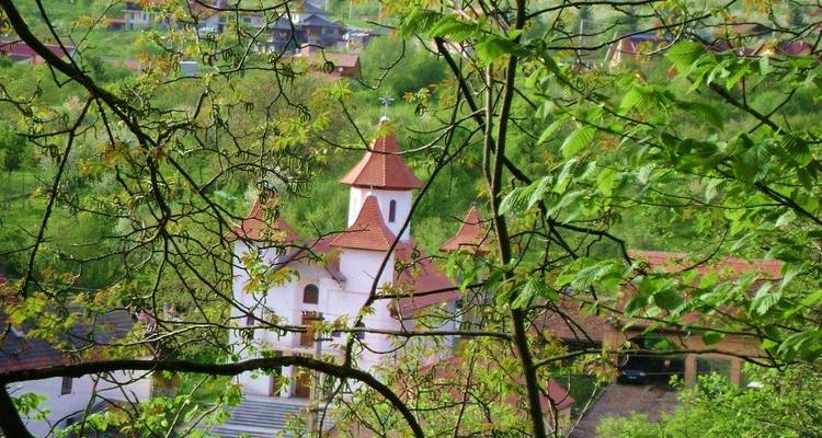 Una vista enmarcada a través de los árboles de una iglesia en un pueblo.