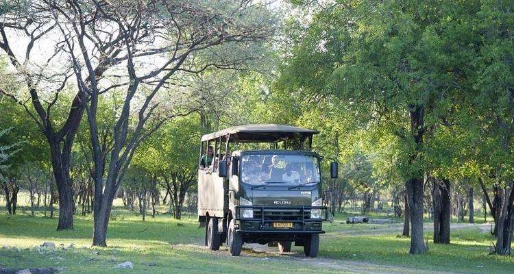 3 Days Etosha National Park (Lodging) - Discovery Transfers and Tours 4