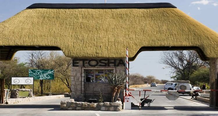 3 Days Etosha National Park (Lodging) - Discovery Transfers and Tours 3