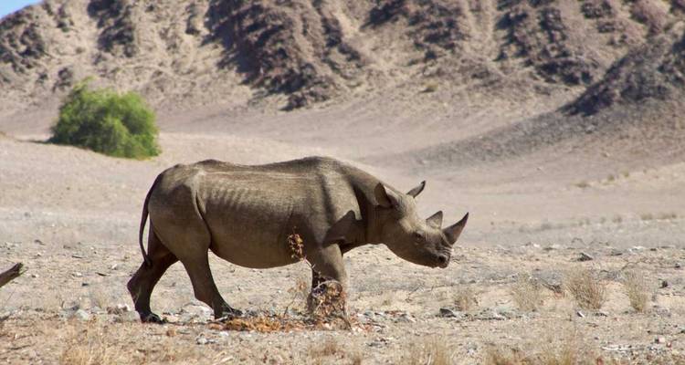 7 - días Parque Nacional de Sossusvlei, Swakopmund y Etosha - alojamiento - Discovery Transfers and Tours 3