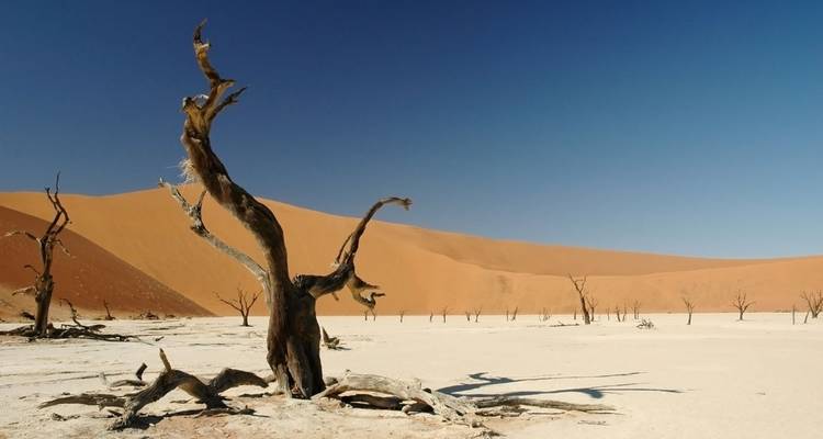 7 - días Parque Nacional de Sossusvlei, Swakopmund y Etosha - alojamiento - Discovery Transfers and Tours 2