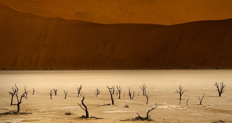 7 - días Parque Nacional de Sossusvlei, Swakopmund y Etosha - alojamiento - Discovery Transfers and Tours 4