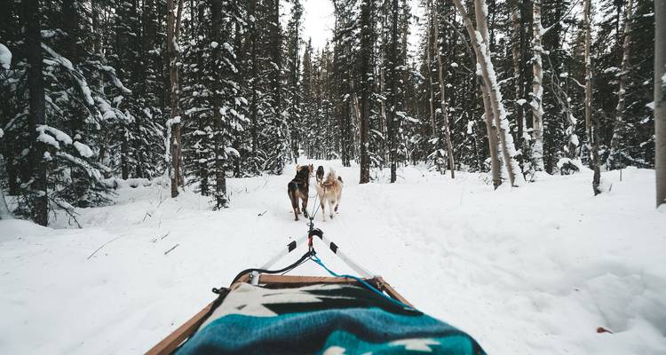 Circuit de luxe des aurores boréales au Yukon (départ et arrivée à Vancouver) - Discover Canada Tours 2