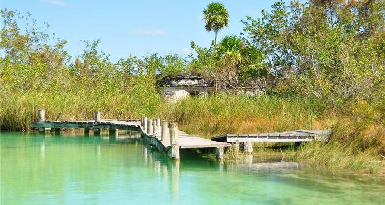 Holzsteg über klarem türkisfarbenem Wasser, umgeben von Grün.