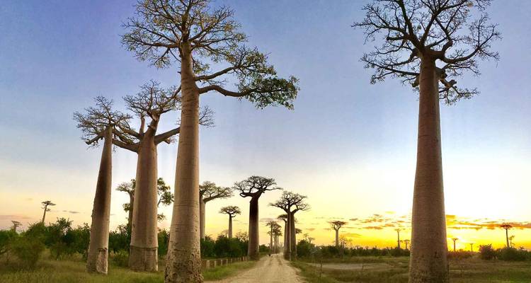 Authentic madagascar tour - HT Agency Tours 2