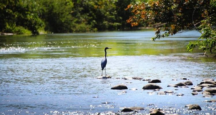 Family Adventure Package - Central American Tours 9