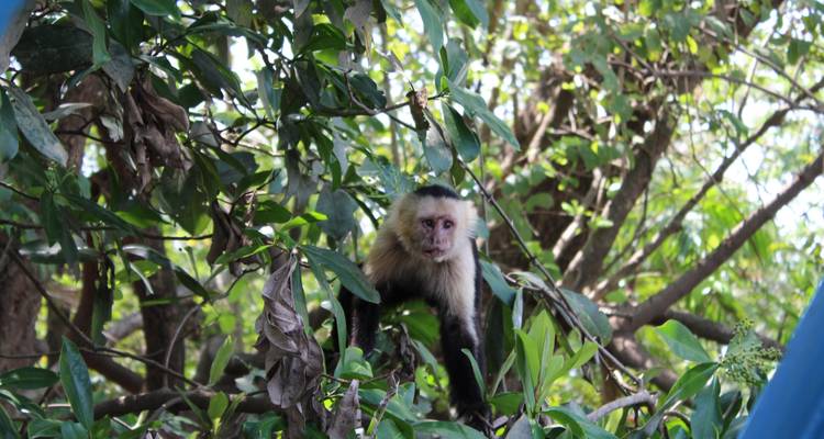 Paquete Esplendor de Costa Rica - Central American Tours 6