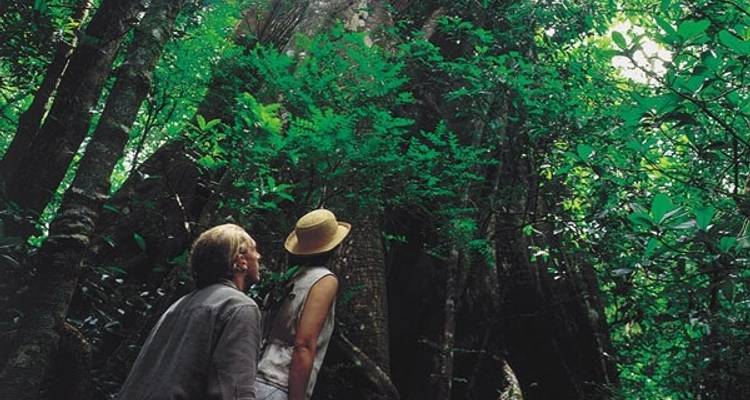 Paquete Esplendor de Costa Rica - Central American Tours 10