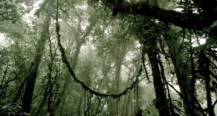Costa Rica Eco Essential - Central American Tours 10