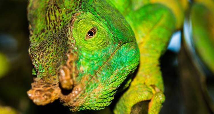 Great madagascar tour - HT Agency Tours 2