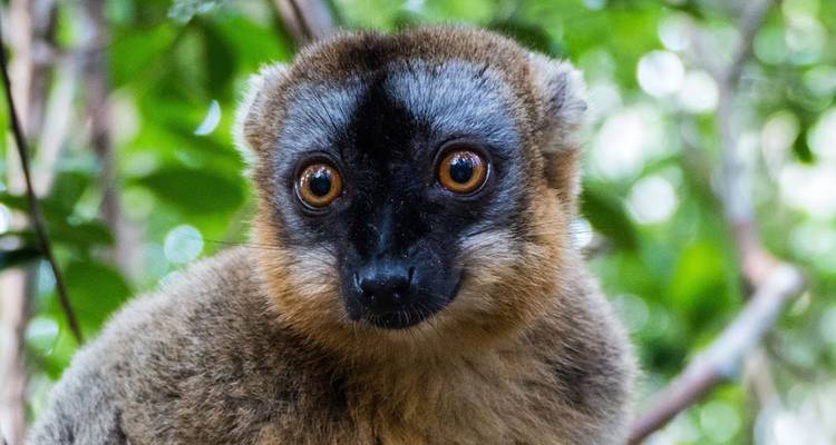 Great madagascar tour - HT Agency Tours 7