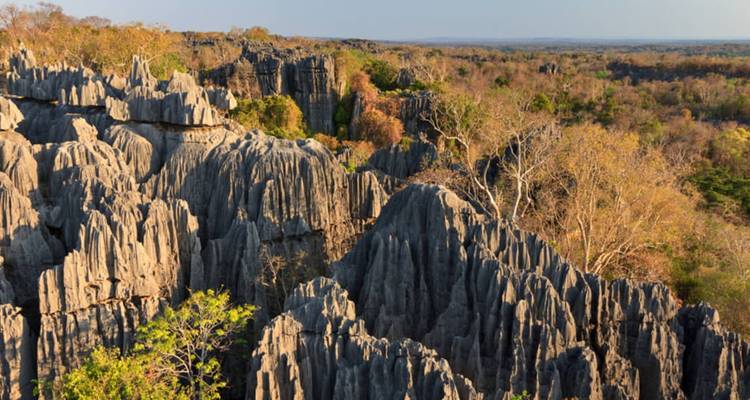 Great madagascar tour - HT Agency Tours 9