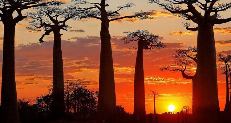 Great madagascar tour - HT Agency Tours 3