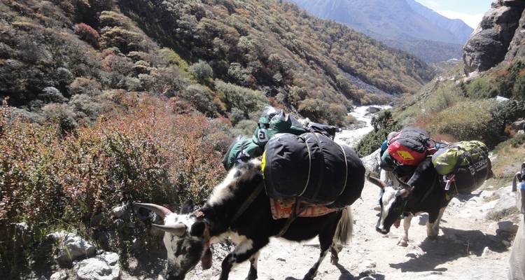 Everest Panorama Trek - Outshine Adventure  7