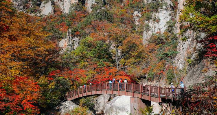 Eine Holzfußbrücke überspannt eine Schlucht mit leuchtend gefärbtem Herbstlaub unter rauen Granitfelsen.