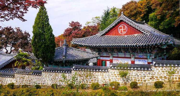 South Korea Western Adventure 3D/2N - Bamba Travel 2