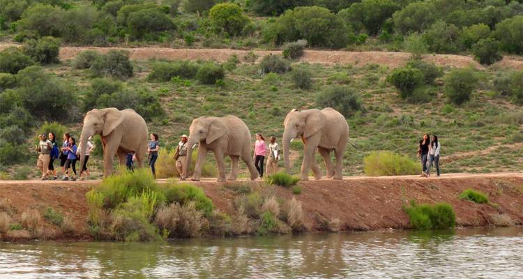 Ruta del Jardín y aventura del vino 7D/6N - Bamba Travel 2