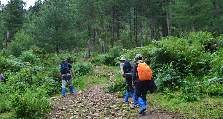Ruta del Druk de Bután - World Tour Plan 9