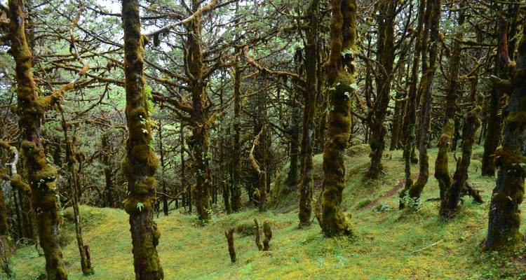 Trek Druk Path au Bhoutan - World Tour Plan 3