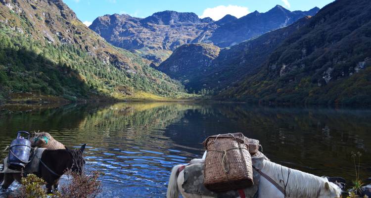 Trek Druk Path au Bhoutan - World Tour Plan 7