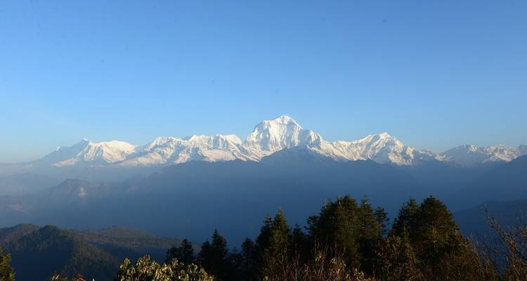 Excursión al campamento base del Annapurna - Nepal Hiking Trek 7