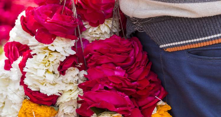 Nahaufnahme von bunten Blumengirlanden.