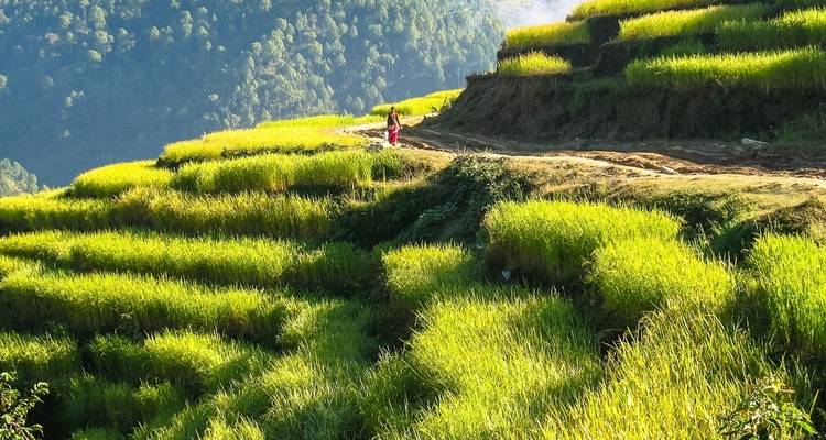 Circuit du Manaslu - officiel - Swotah Travel and Adventure 6