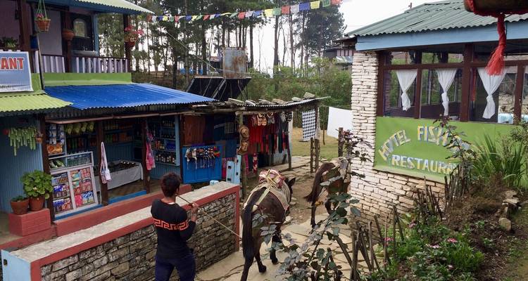 Campamento base del Mardi Himal - circuito privado - OneSeed Expeditions 4