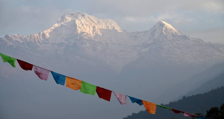 Campamento base del Mardi Himal - circuito privado - OneSeed Expeditions 8