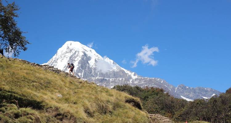 Mardi Himal Trekking - Nepal Hiking Trek 2