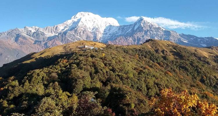 Mardi Himal Trekking - Nepal Hiking Trek 4