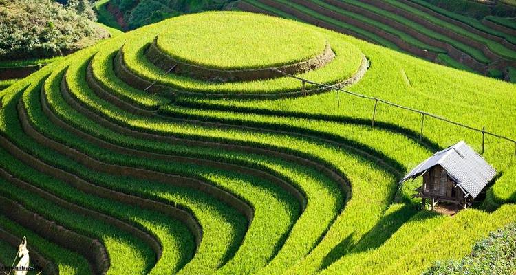 Lo más destacado del norte de Vietnam 7 días 6 noches - Asia Focus Travel 8