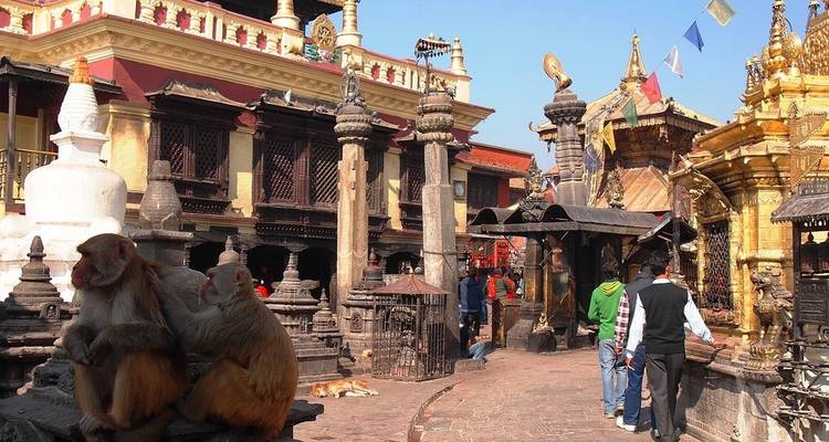 Viaje de 10 días a Nepal - Katmandú, Pokhara, Lumbini, Chitwan - Peregrine Treks and Expedition Pvt Ltd 7