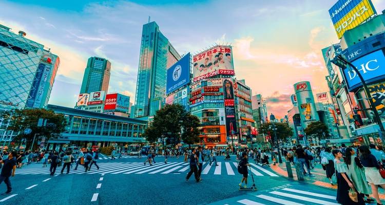 7-Day Japan Delight: Tokyo, Mt. Fuji, Kyoto - Intertrips 9