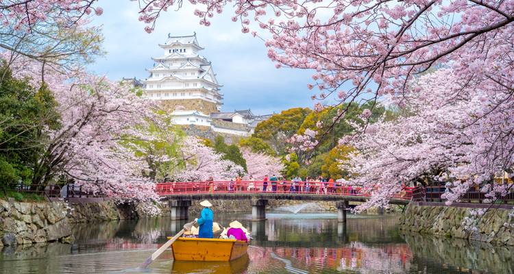 7-Day Japan Delight: Tokyo, Mt. Fuji, Kyoto - Intertrips 2