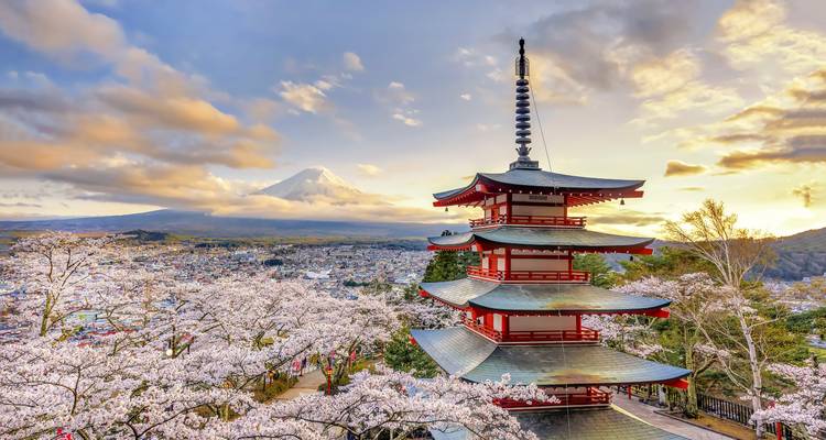7-Day Japan Delight: Tokyo, Mt. Fuji, Kyoto - Intertrips 6