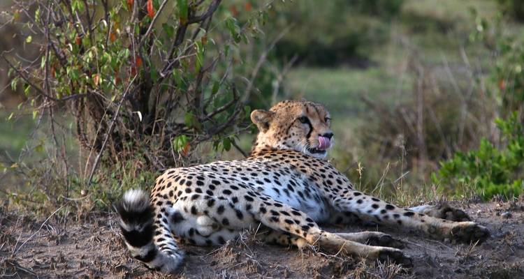 Safari dans la jungle de Chitwan - Outfitter Nepal Treks and Expeditions 4