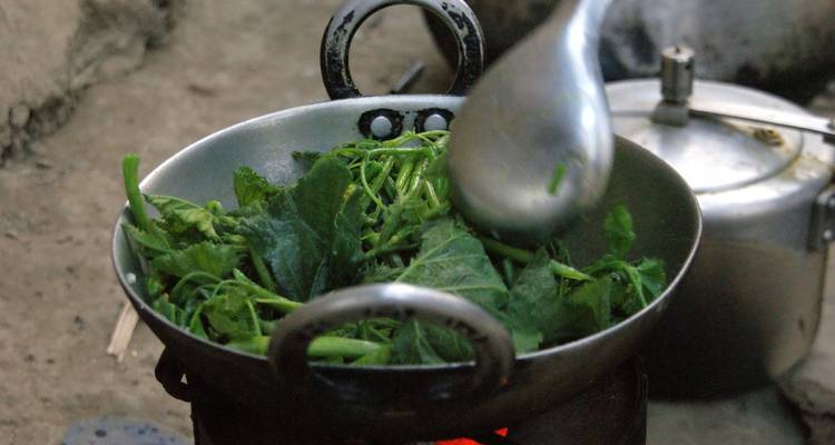 Safari dans la jungle de Chitwan - Outfitter Nepal Treks and Expeditions 2