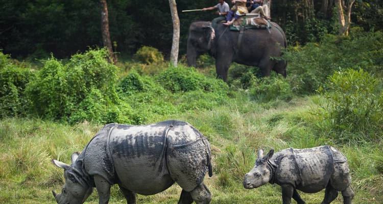Circuit de 8 jours au Népal - Katmandou, Pokhara et Chitwan - Peregrine Treks and Expedition Pvt Ltd 7