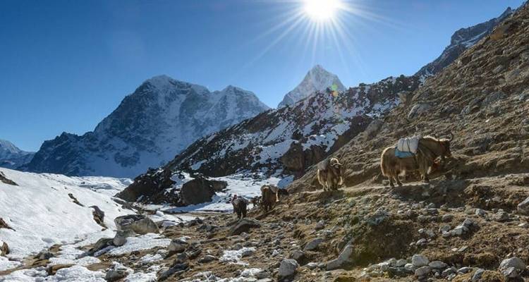 Trek du camp de base de l'Everest et du Kala Patthar - 14 jours - Adventure Himalayan Travels 8