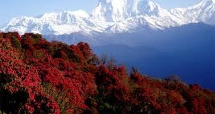 Trek du camp de base de l'Annapurna - Adventure Himalayan Travels 2