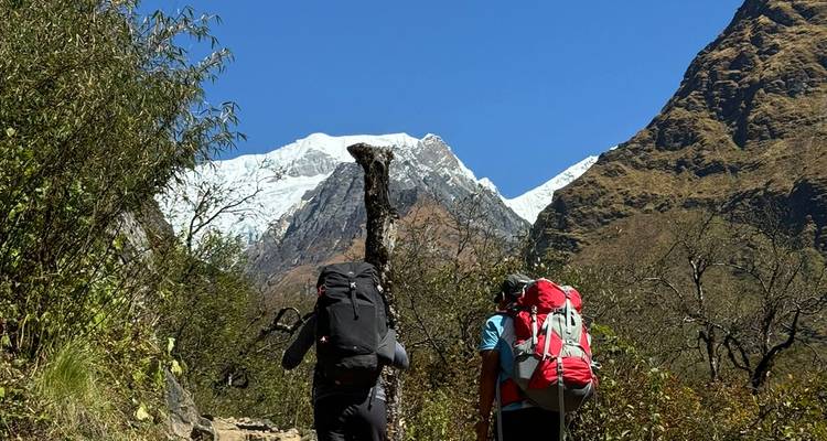 Randonneurs marchant vers des montagnes enneigées.