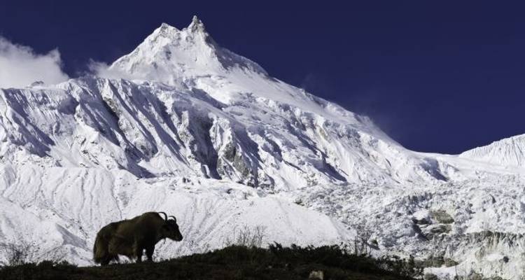 Circuit du Manaslu - Adventure Himalayan Travels 1