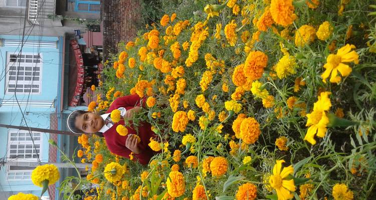 Circuit du Manaslu - Adventure Himalayan Travels 10