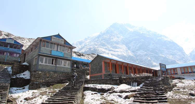 Annapurna Base Camp Trek 14 Days - Scenic Nepal Treks & Expedition Pvt. Ltd 6