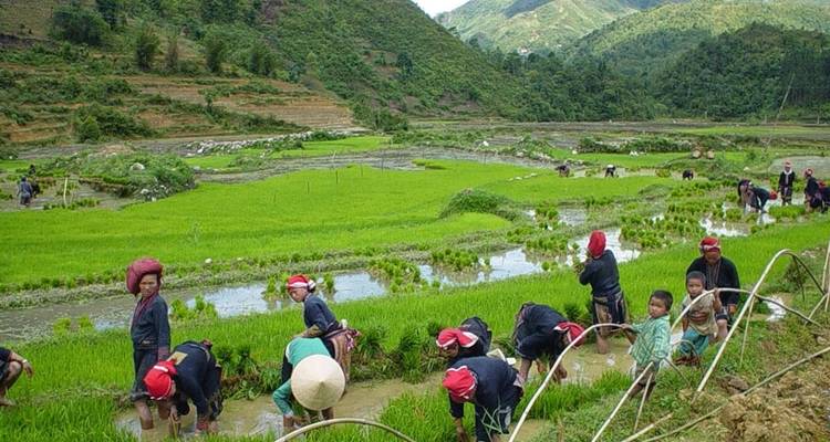 Sept jours pour découvrir le vrai charme du nord du Vietnam - Vietnam Real Tour 8